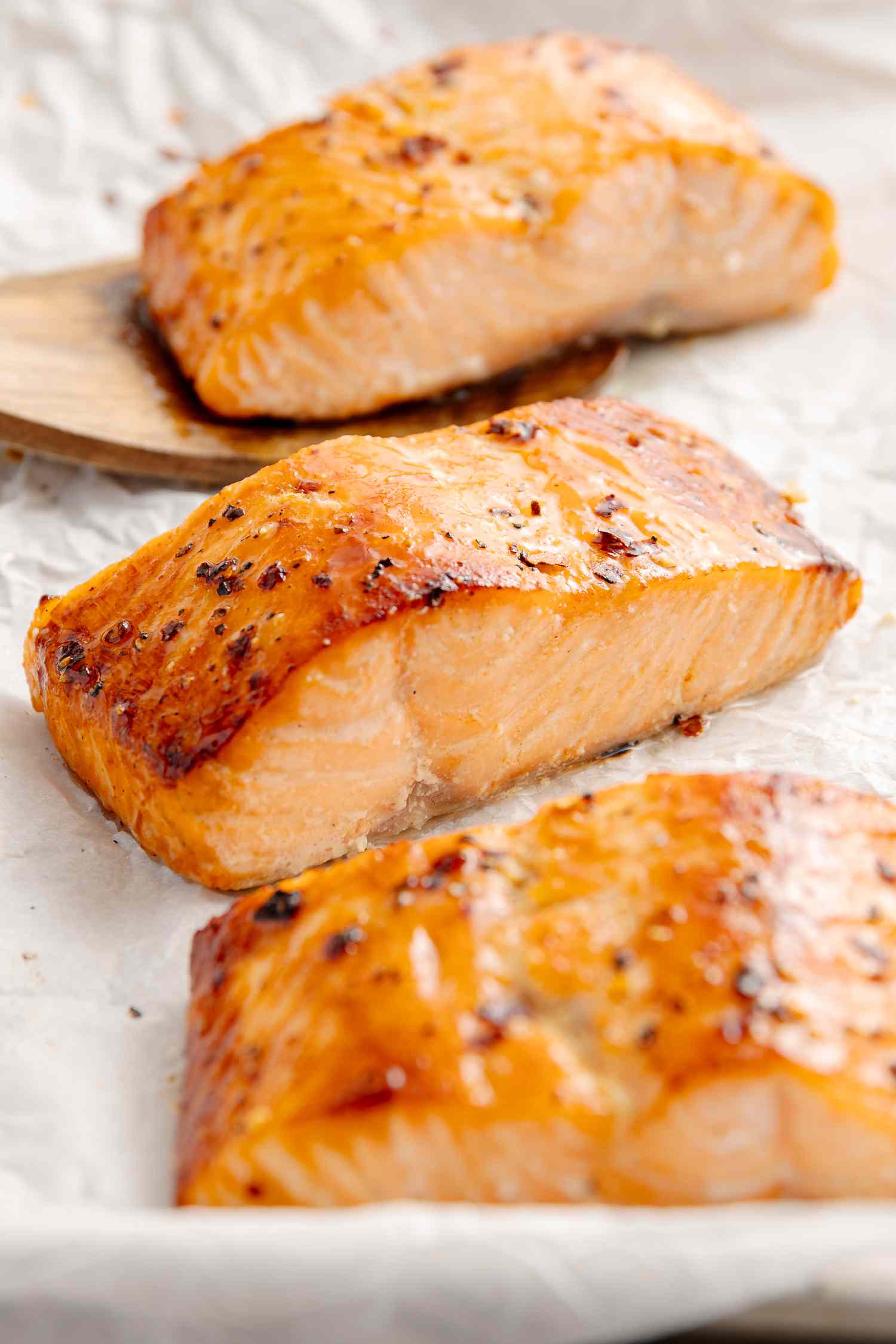 Salmon